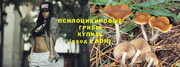 мет Арсеньев