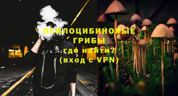 мет Арсеньев