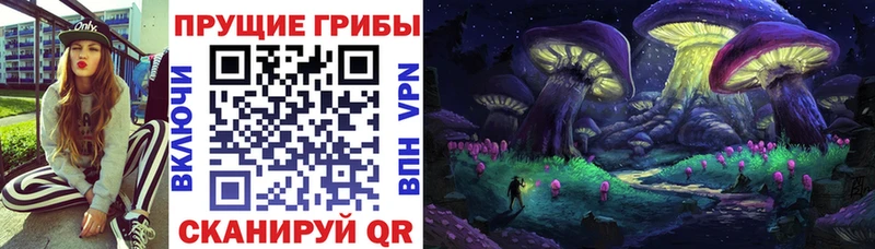 наркошоп  Пошехонье  kraken сайт  Псилоцибиновые грибы Magic Shrooms 